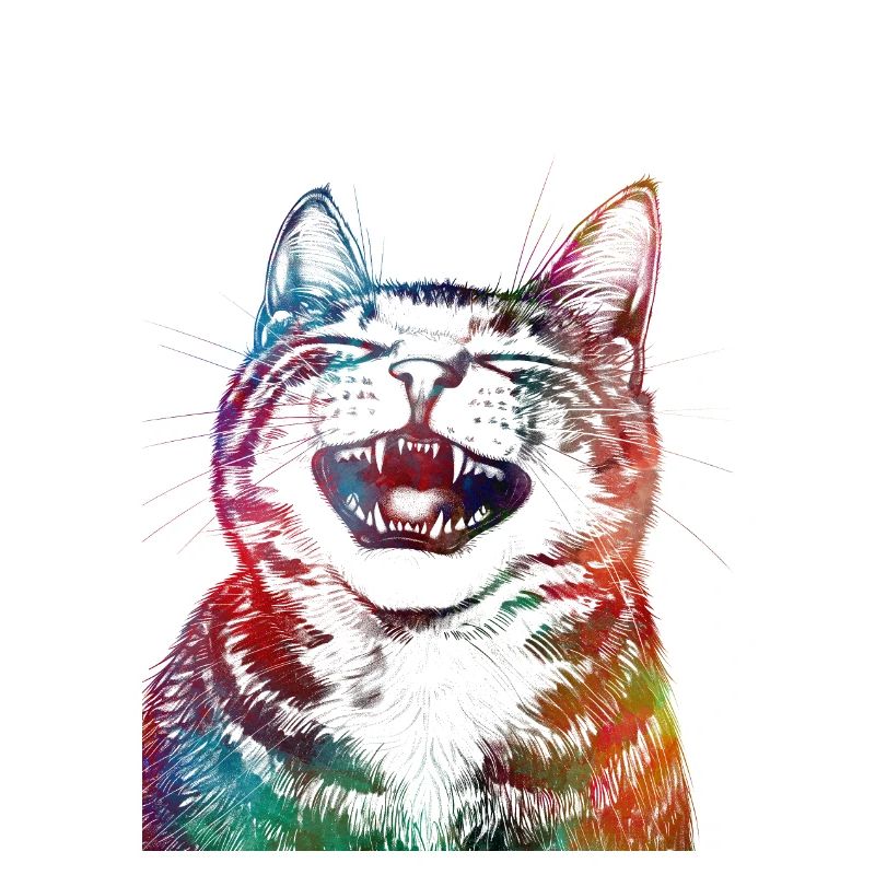 Drôle de chat 1
