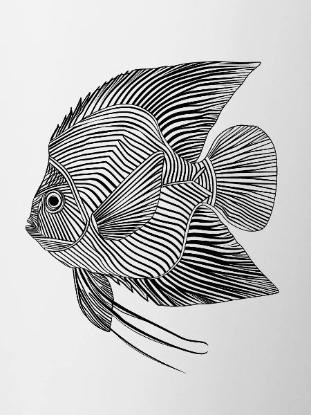 Lines art fish #fish