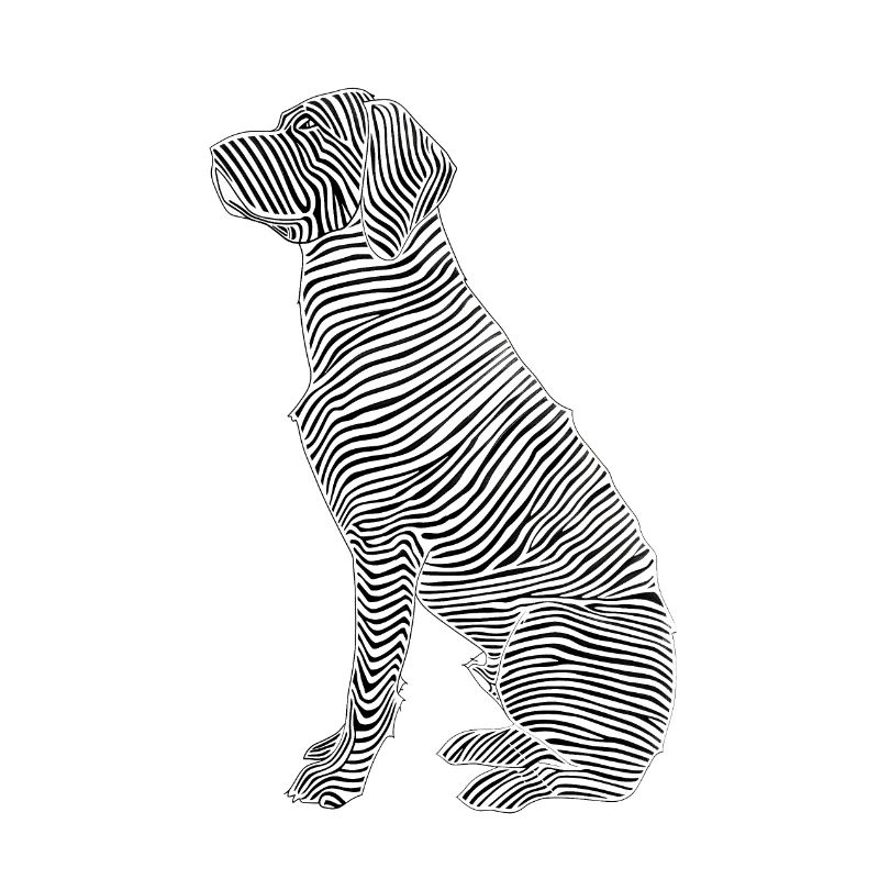 Lignes d’art chien #dog