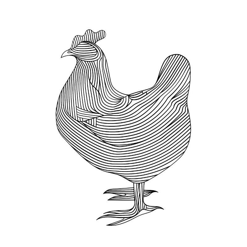 Lignes d’art poulet #chicken
