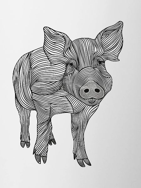 Lines art pig #pig