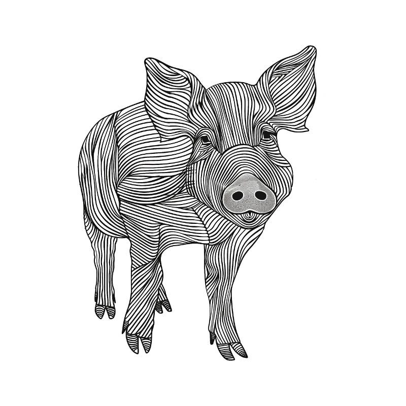 Lignes art cochon #pig