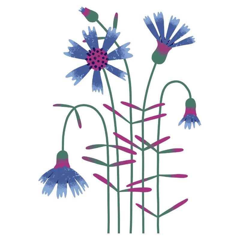 Bleuet