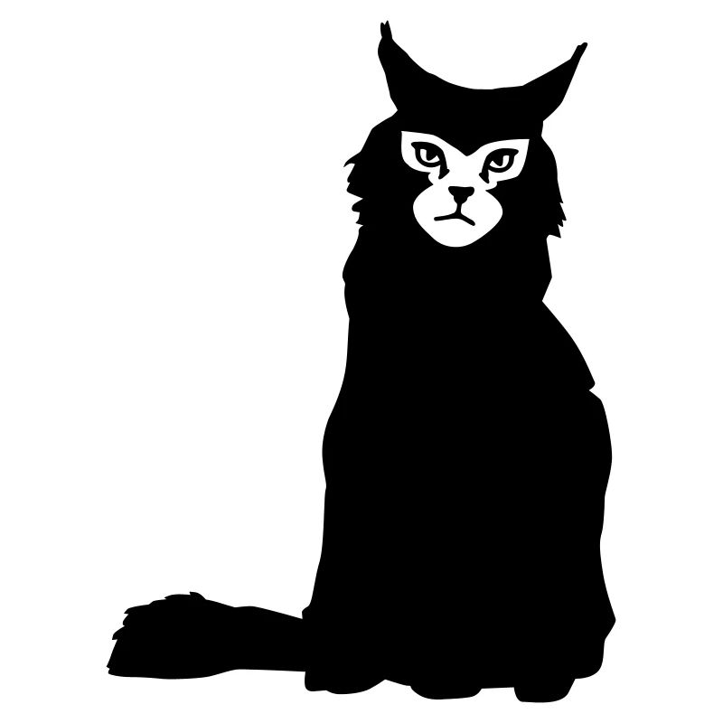 chat