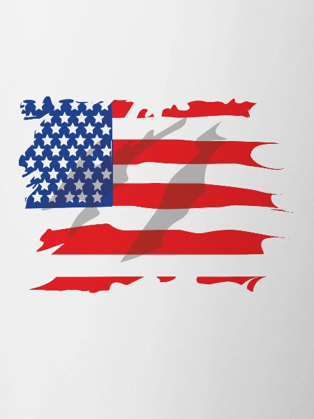 America flag