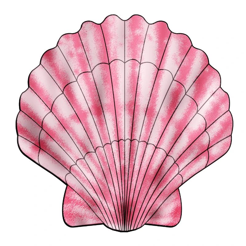 Coquille