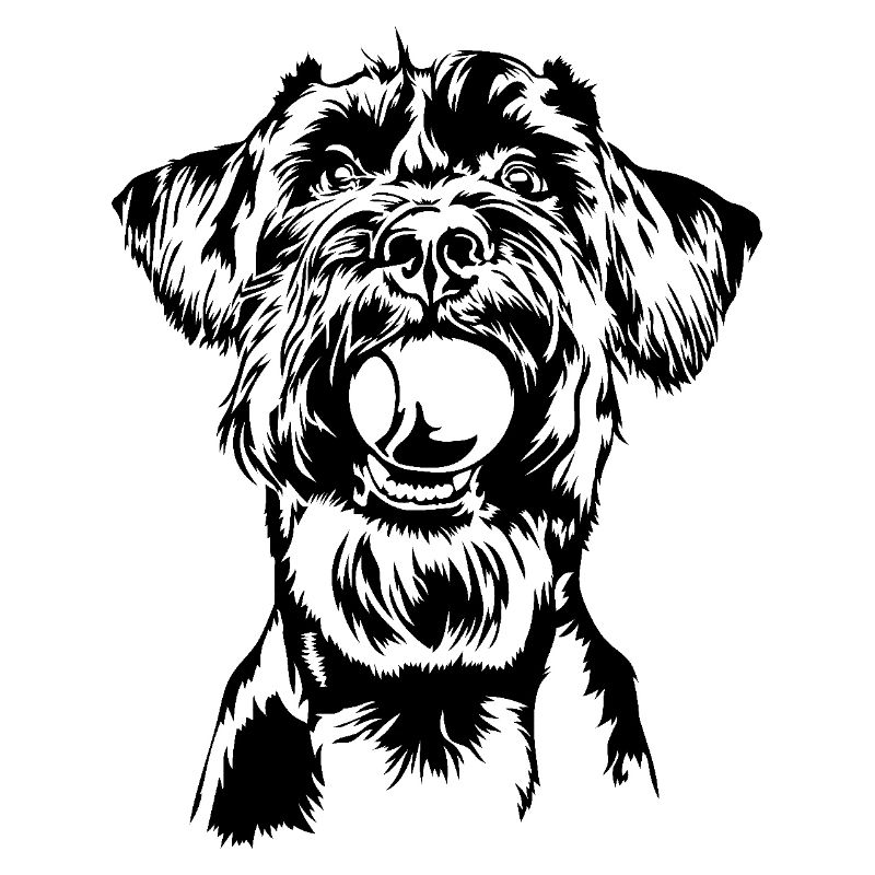 Schnauzer géant Schnauzer chien chien Wilsigns