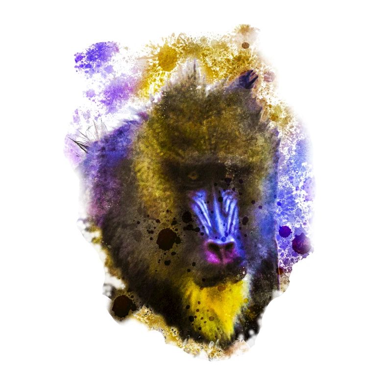 Mandrill