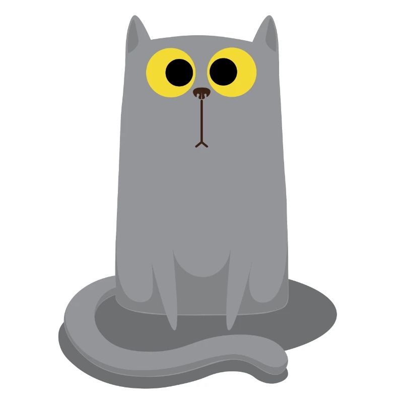 Chat gris assis