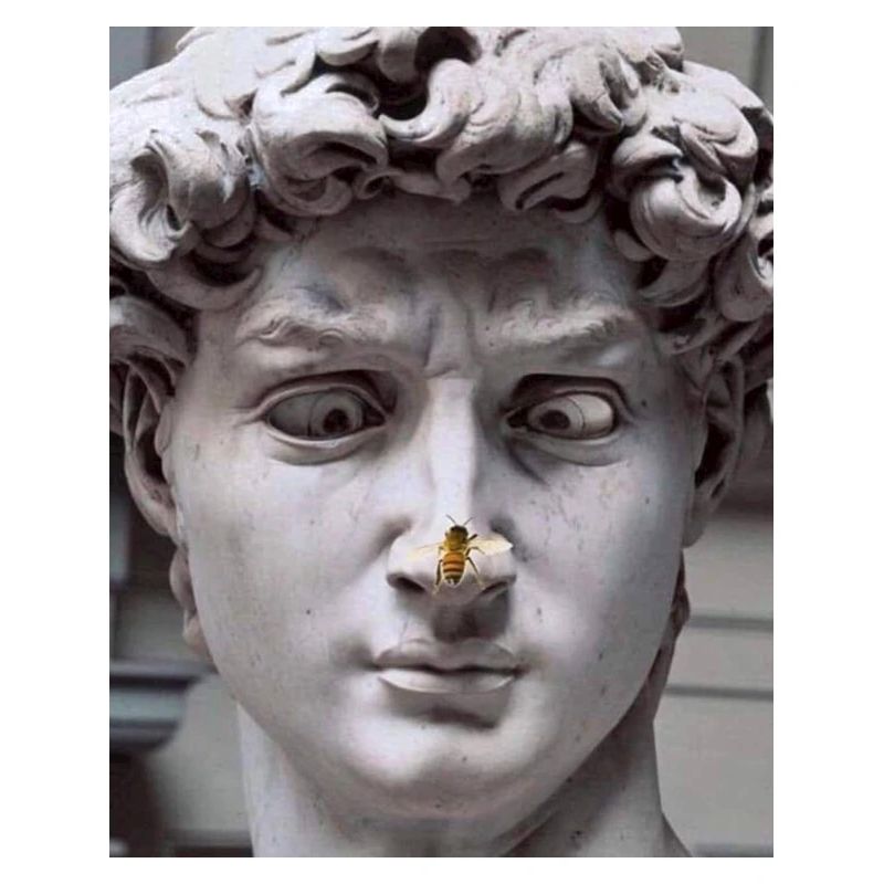 David par Michelangelo