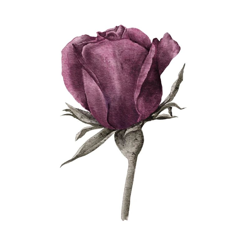 Rose Fleur