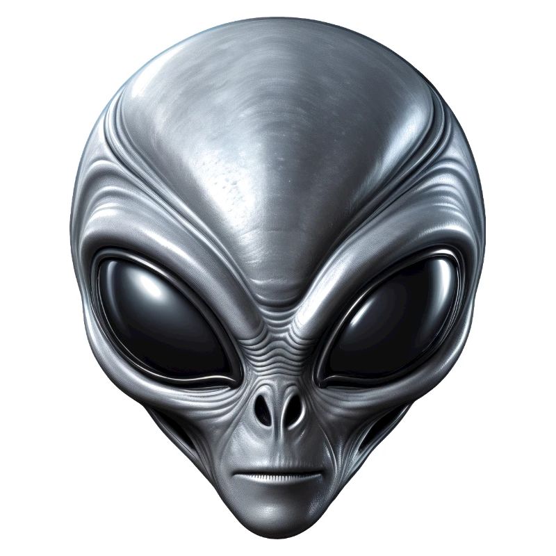 Small Grey Alien Extraterrestrial ET Being