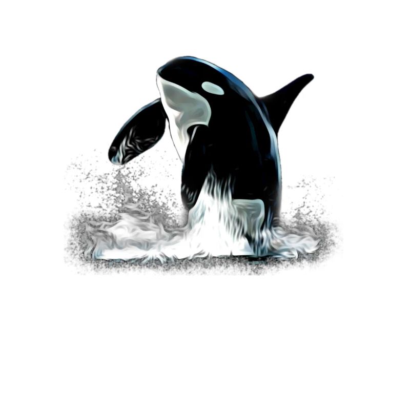 Orca