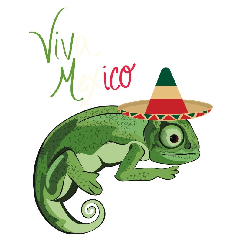 Viva Mexiko Sombrero
