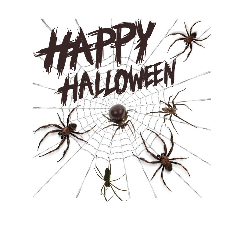 Joyeux Halloween Spiders