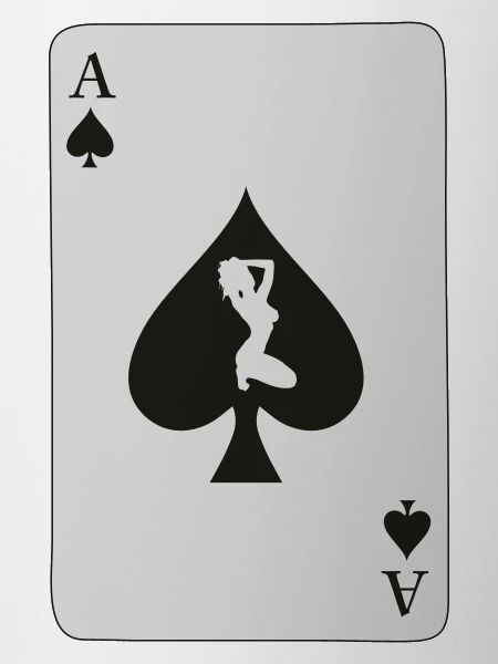 aspicgirlspreadshirt