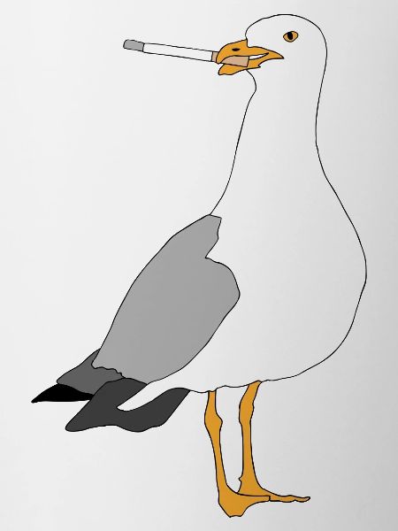 Seagul smoking