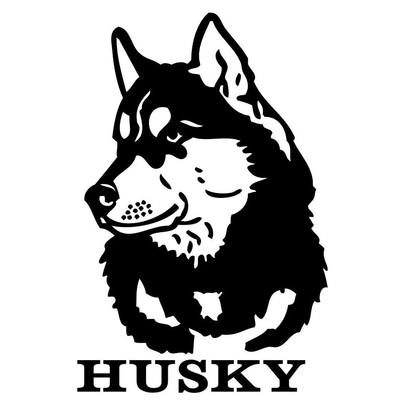 husky - www.dog-power.nl