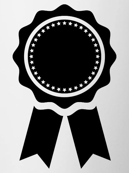Medal award gift gift idea