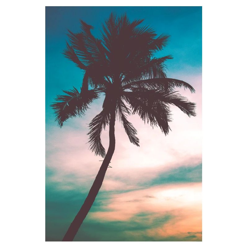Palm tree