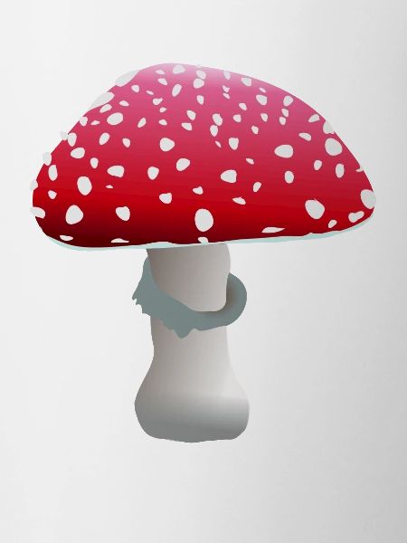 fly agaric