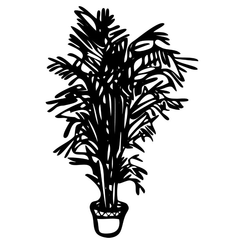 Topfpflanze, Geschenk, Geschenkidee