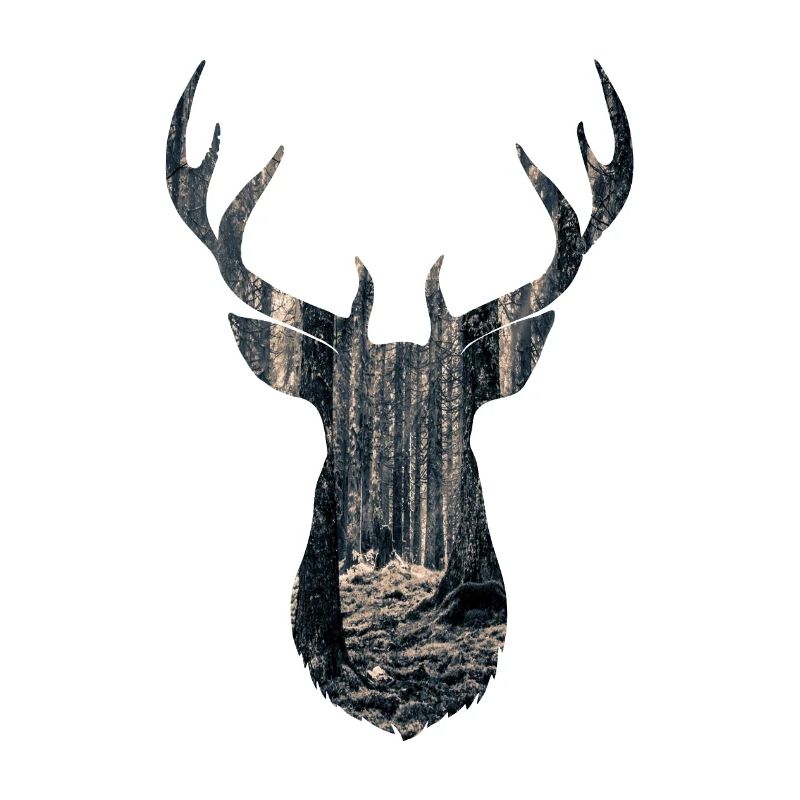 Hirsch