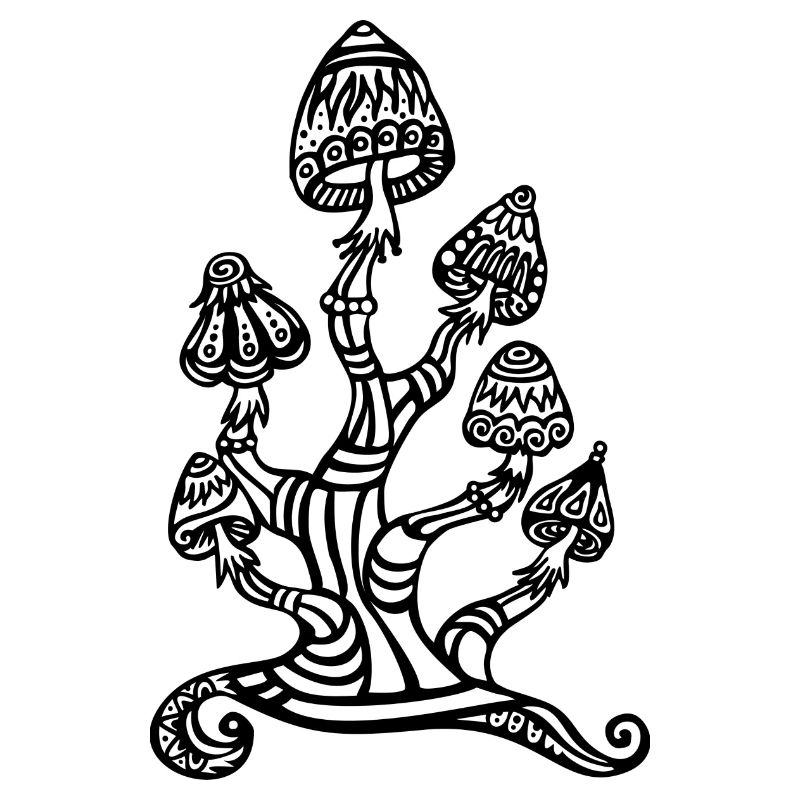Magic mushrooms, wonderland, psychedelic, lsd