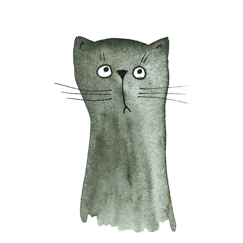 Kitten grey