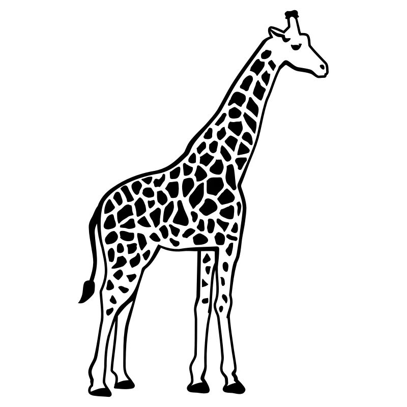 Girafe