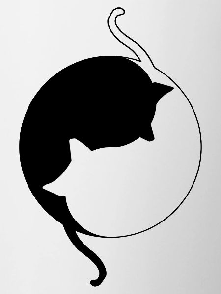 Chat yin et yang