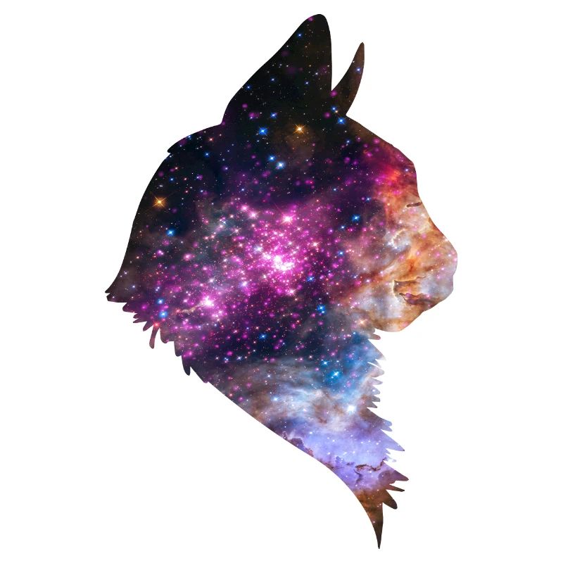 Espace chat espace chat