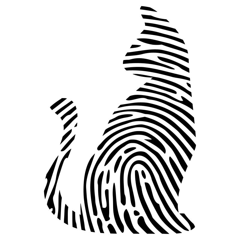 Chat ADN ADN empreinte digitale chat meow cadeau