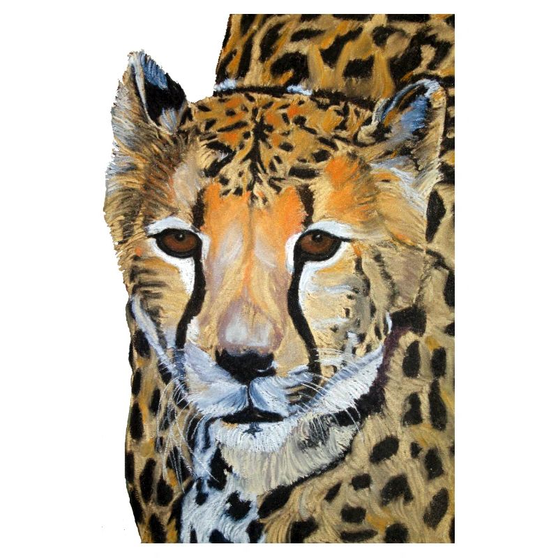 Gepard Zeichnung