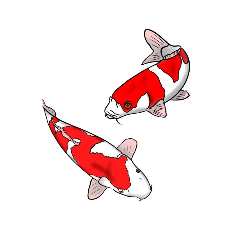 Karpfen