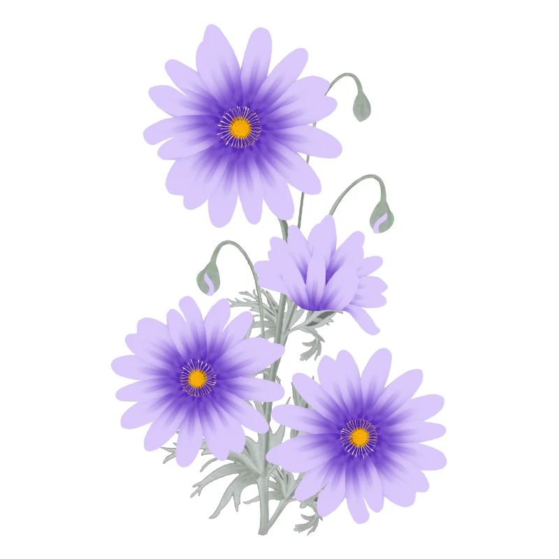 Anémones lilas