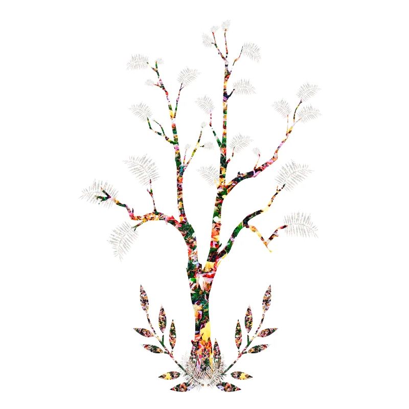 Arbre fleuri feuilles plumes blanches