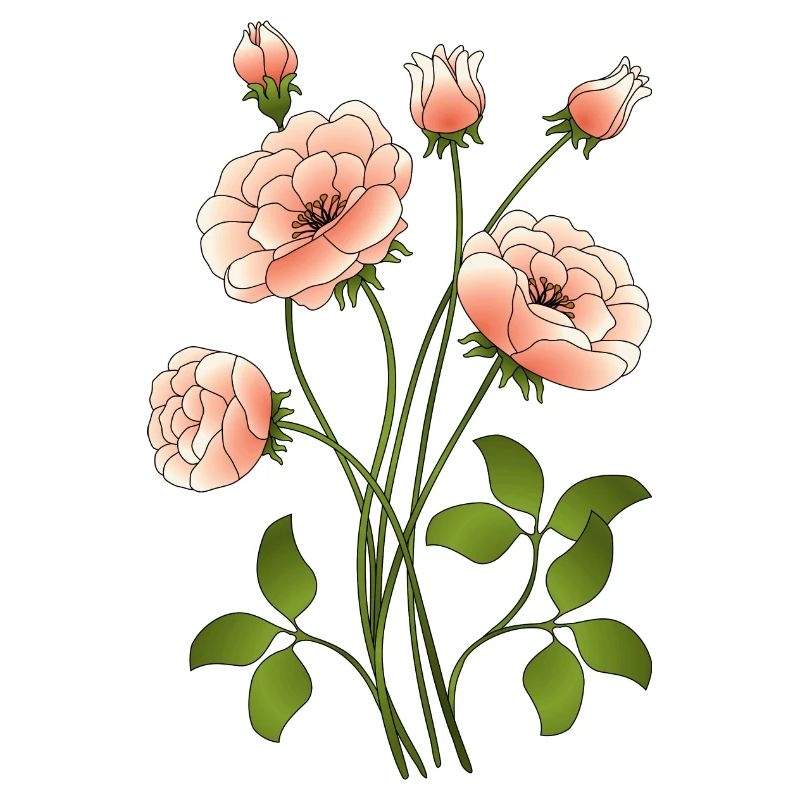fleurs