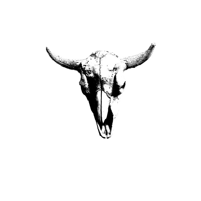 skull Schädel Bull head Bones