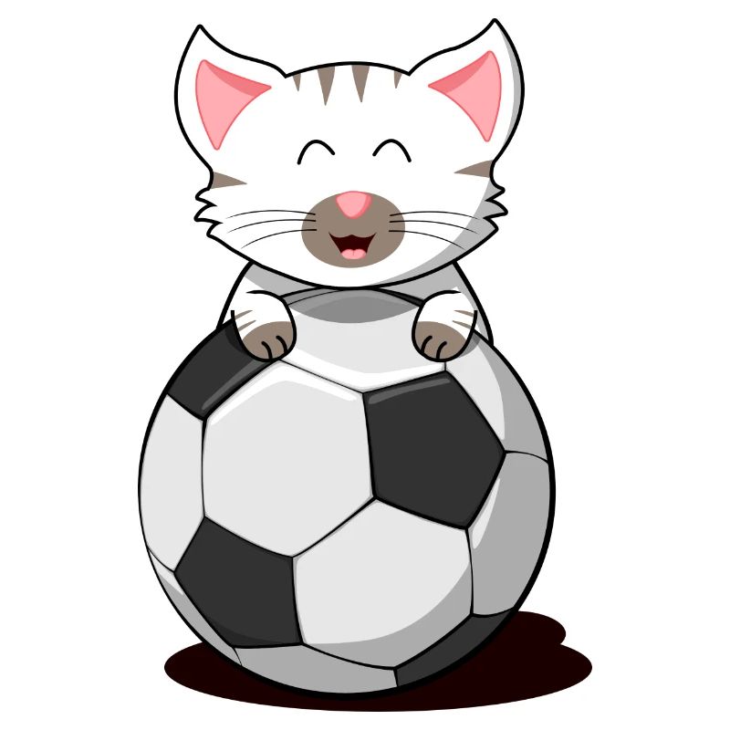 Chat soccer chaton bébé chat chat blanc chat