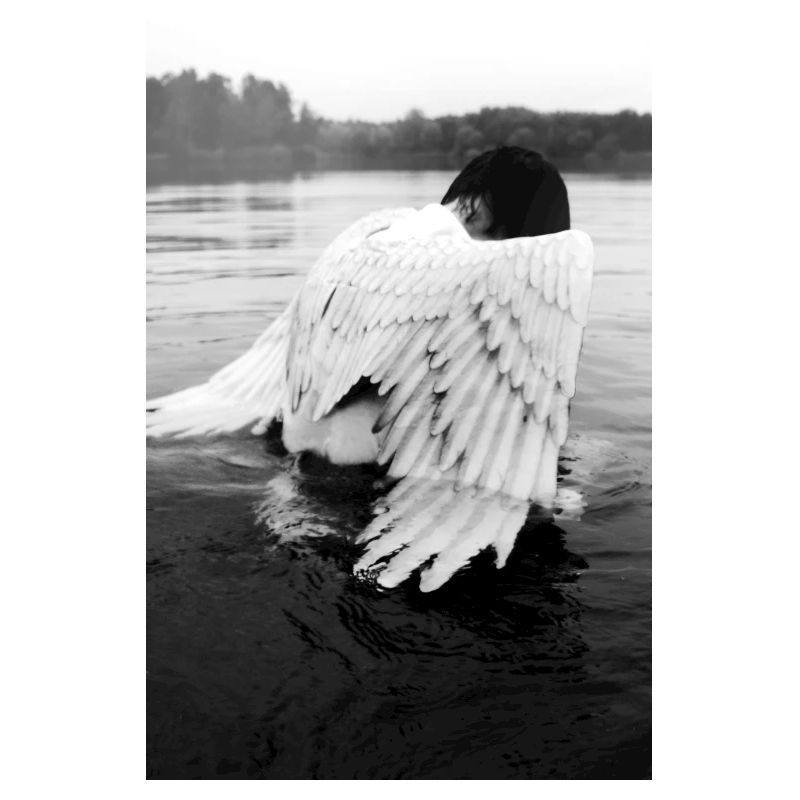 Fall from Grace