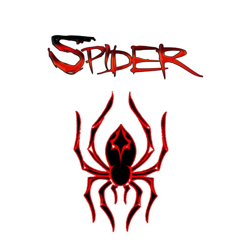 A Crazy Spider