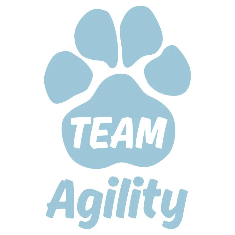 Team Agility