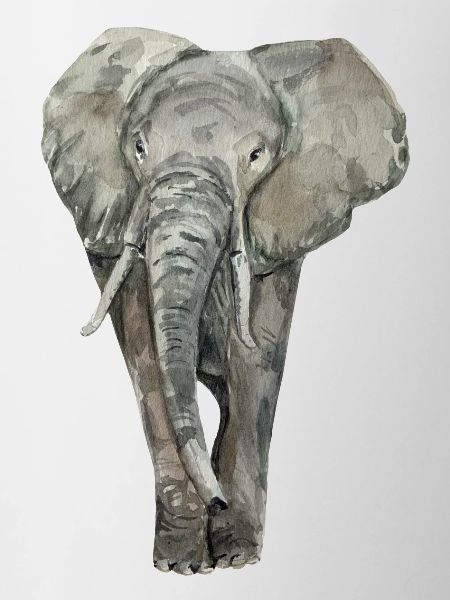 Éléphant
