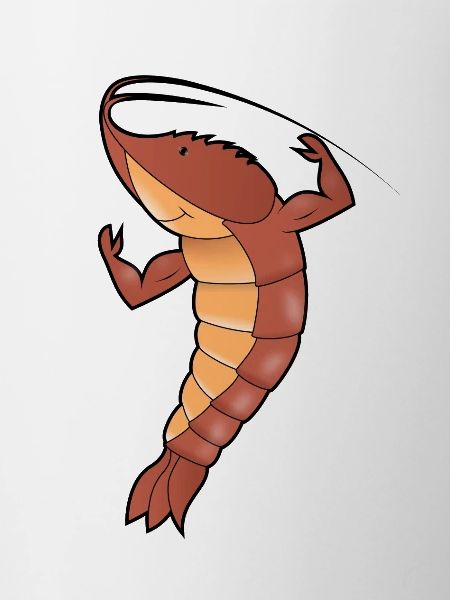 Shrimp