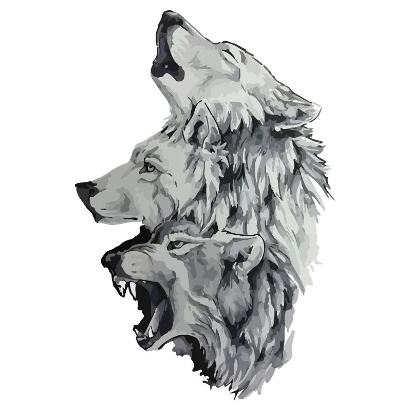 Three wolves