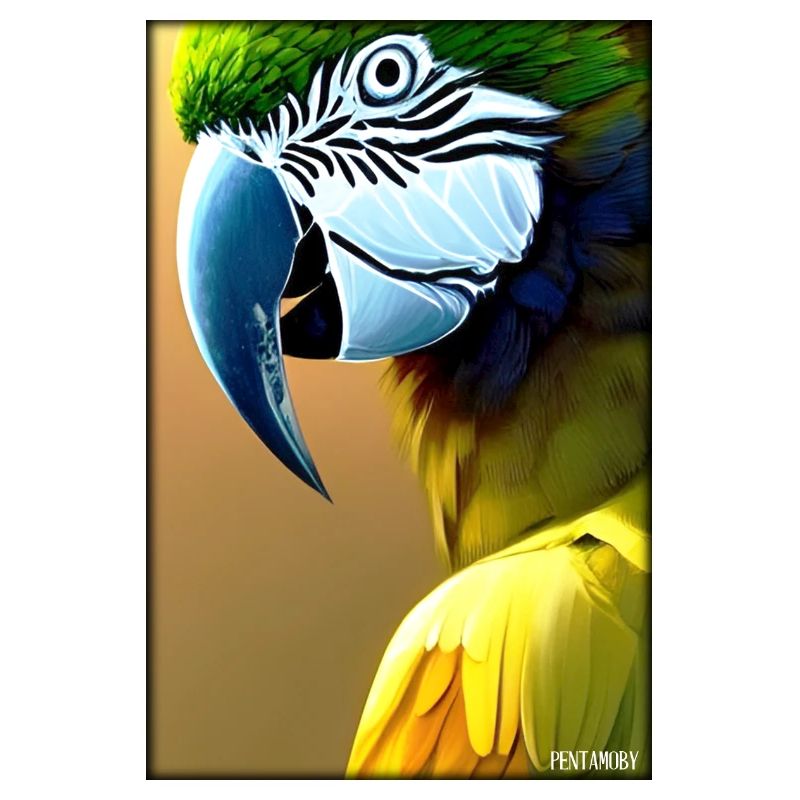 Perroquet Perroquet Oiseau Oiseaux Ara Faune