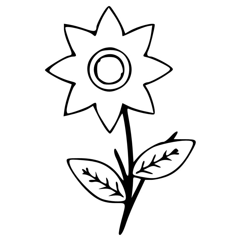 Flower Drawing Nature Sketch Black