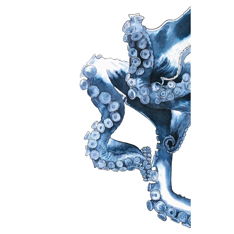 Octopus Tentacle Octopus Tentacle Octopus
