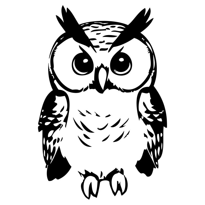 Cute owl